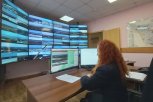 Камеры системы «Лесохранитель» помогли предотвратить пожар в Сковородинском округе