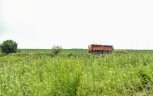 В Ромненском округе сотрудника организации оштрафовали за сажавшего фасоль мигранта