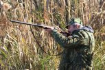 В Приамурье у охотников принимают заявления на добычу кабана и волка