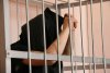 Татуировки довели работника предприятия Свободненского района до уголовного дела