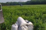 Амурские заказники засеяли 53 гектара полей для подкормки зверей и птиц