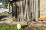 Ревнивая благовещенка приехала на такси к дому соперницы в Тамбовке и подожгла веранду