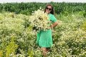 Ромашковая красота в Приамурье. Автор: Любовь