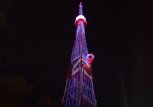 Ромашка появится на телебашне Благовещенска в День семьи, любви и верности
