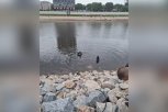 На «Серебряной миле» в Благовещенске утонул 19-летний горожанин