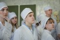 Фото: Архив АП