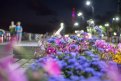 Фото: «Амурская правда»