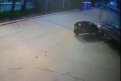 Фото: Скриншот видео мэрии Тынды