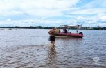 В Благовещенске спасатели эвакуировали отдыхающих с острова на реке Зее