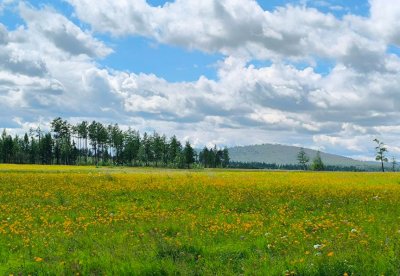 В воскресенье Амурская область отдохнёт от дождей