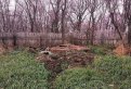 Фото: t.me/vet_ao