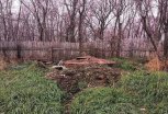 В Приамурье 14 старых скотомогильников проверят на биологическую безопасность и ликвидируют
