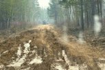 На дороге Юбилейный — Октябрьский в Зейском округе ограничили движение до 30 ноября
