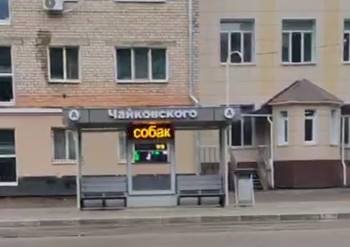Скрин видео