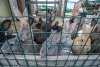 Ветераны СВО из Ивановского округа строят мини-ферму и роботизированную автомойку
