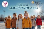 Проект «Амурский лед» даст детям-сиротам шанс реализоваться в фигурном катании