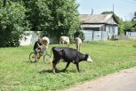 Жара до +32 и западный ветер до 15 метров в секунду: прогноз погоды в Амурской области