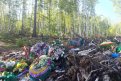 Фото из личного архива
