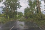 Энергетики ДРСК восстанавливают последствия ураганного ветра и подключают амурчан к электроэнергии