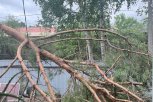 В Амурских электросетях введен режим повышенной готовности после ночного отключения электроэнергии