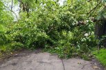 В Белогорске режим ЧС после ночной непогоды: в городе проблемы с электроэнергией, водой и связью