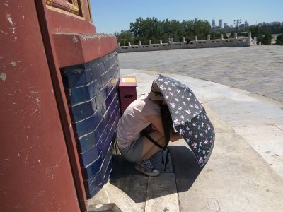 Жара на юге, грозы на севере: прогноз погоды для жителей Амурской области