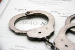 В Амурской области украинца осудили за продажу несуществующих кур