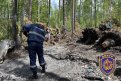 Фото: Амурский центр ГЗ и ПБ