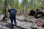 Обломки разбившегося Ан-24 направят на хранение в специально оборудованное место