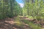 В Сковородинском округе возле солонца поймали браконьера с заряженным ружьем