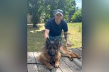 В Благовещенске овчарка Кольт помогла найти пострадавшего от теплового удара пенсионера