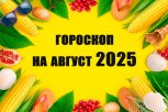 Гороскоп на август—2025: месяц взлетов, падений, ярких событий и изменений во всех сферах жизни