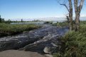 Фото: Амурский центр ГЗ и ПБ