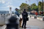 В Приамурье дети ловят хайп на преступлениях, а «черных лесорубов» выявляют квадрокоптеры