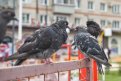 Фото: Архив АП