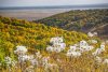 Амурские бегуны завершат сезон «ЛистОтпадным» трейлом