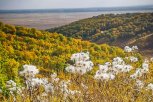 Амурские бегуны завершат сезон «ЛистОтпадным» трейлом