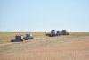 В Приамурье аграрии убрали треть площадей ячменя и начали уборку ржи