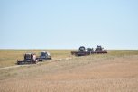 В Приамурье аграрии убрали треть площадей ячменя и начали уборку ржи