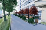 Для обновления сквера в центре Благовещенска вырубят потенциально опасные деревья и высадят новые