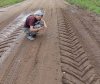 Около села в Архаринском районе заметили следы тигра
