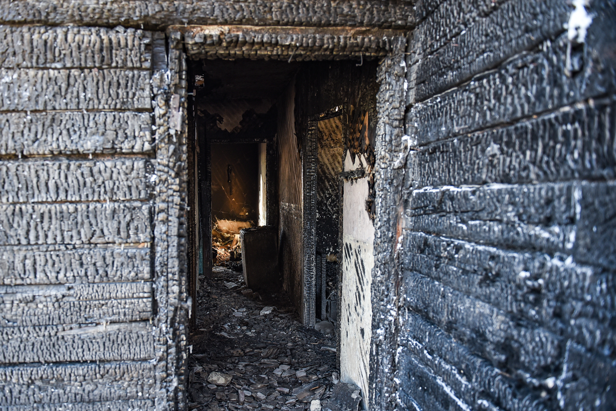 Фото: Алексей Сухушин