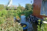 Режим ЧС: Селемджа подтопила в Приамурье 52 приусадебных участка и 4 жилых дома