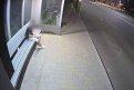 Скриншот видео t.me/blagoveshchensk_rf
