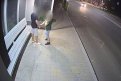 Скриншот видео t.me/blagoveshchensk_rf