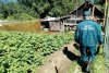 Вода за день покинула 20 приусадебных участков в Селемджинском районе