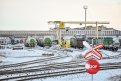 Фото: Алексей Сухушин