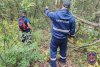 За выходные в амурских лесах потерялись четыре грибника