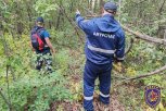 За выходные в амурских лесах потерялись четыре грибника