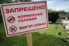 Таблички о запрете кормления голубей установили в сквере в центре Благовещенска